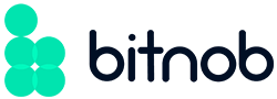 /images/clientlogo/ragzon-bitnob.webp
